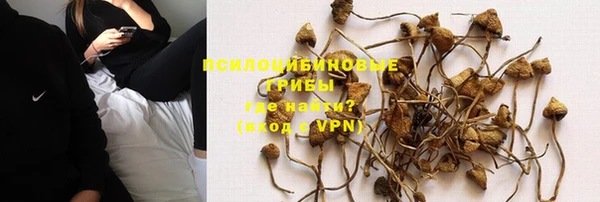 spice Богданович