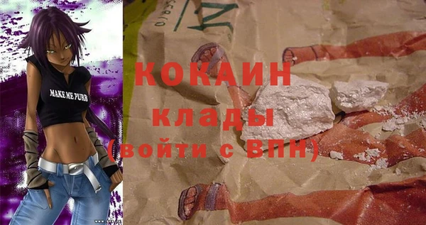 хмурый Бородино