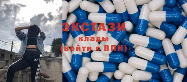 хмурый Бородино