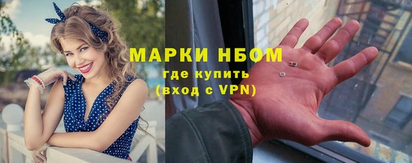 spice Богданович